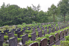 重庆龙台山陵园艺术豪华墓价格