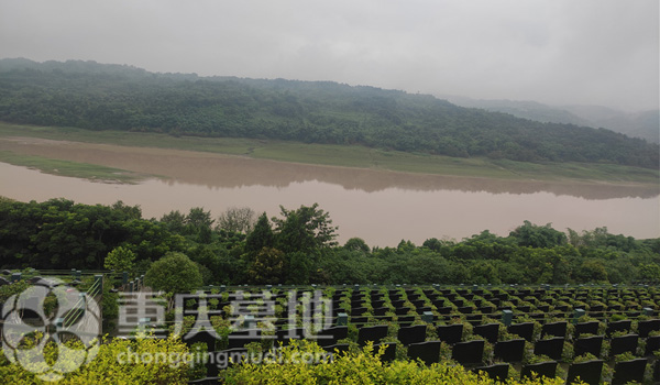 重庆背山面水墓型