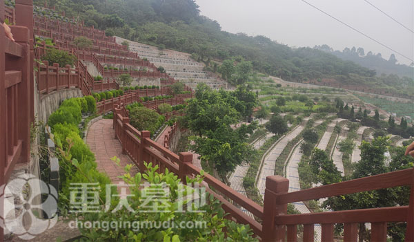 金鳌山墓地墓区