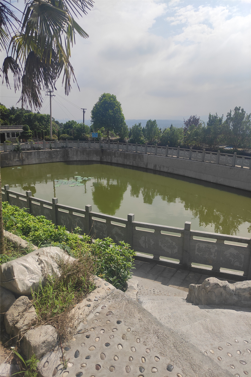 仙友山墓地环境